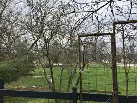 132 S Madison Ave, Custer, MI 49405 photo 24