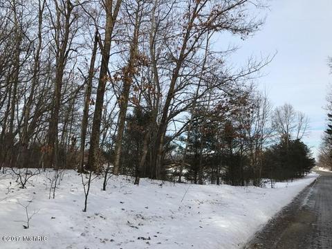 5595 E Arthur Rd, Hesperia, MI 49421 photo 65