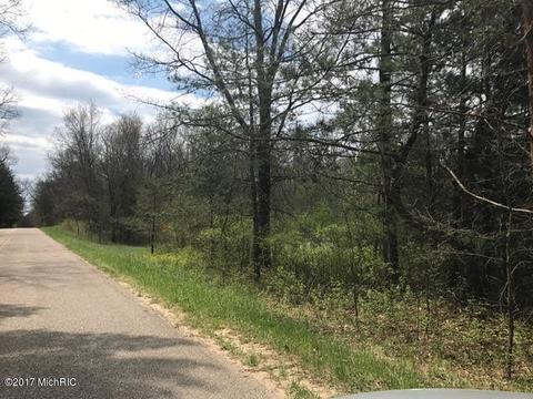5595 E Arthur Rd, Hesperia, MI 49421 photo 19