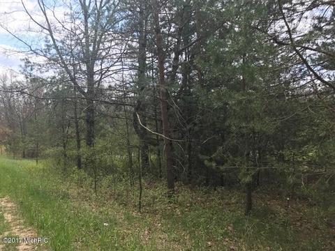 5595 E Arthur Rd, Hesperia, MI 49421 photo 16