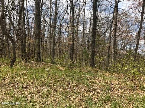 5595 E Arthur Rd, Hesperia, MI 49421 photo 17