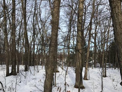 5595 E Arthur Rd, Hesperia, MI 49421 photo 62