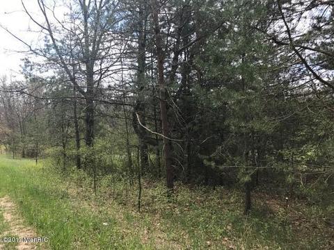 5595 E Arthur Rd, Hesperia, MI 49421 photo 15