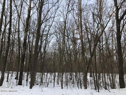 5595 E Arthur Rd, Hesperia, MI 49421 photo 60