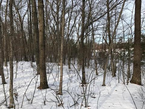 5595 E Arthur Rd, Hesperia, MI 49421 photo 64