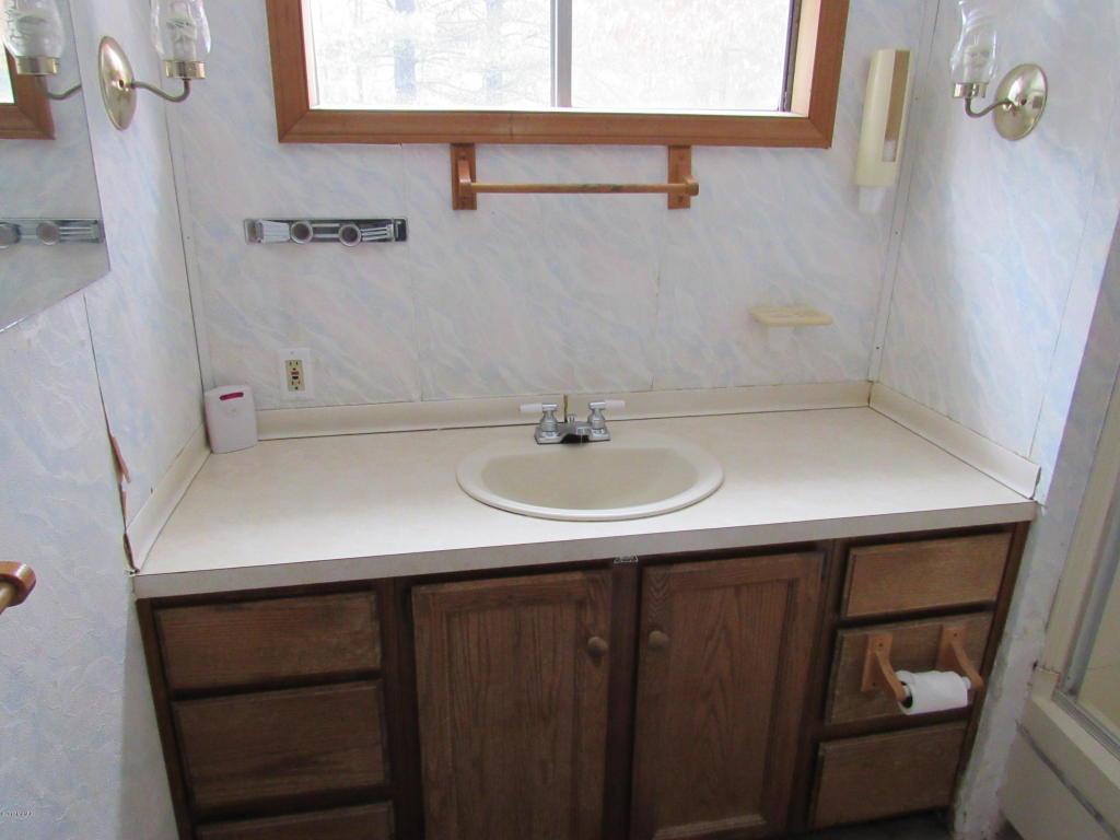 9444 E 56th St, Newaygo, MI 49337 photo 16