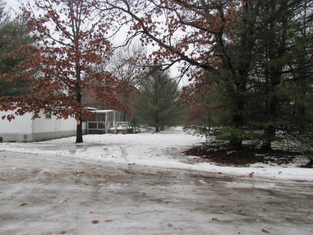 9444 E 56th St, Newaygo, MI 49337 photo 8