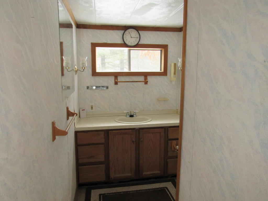 9444 E 56th St, Newaygo, MI 49337 photo 36