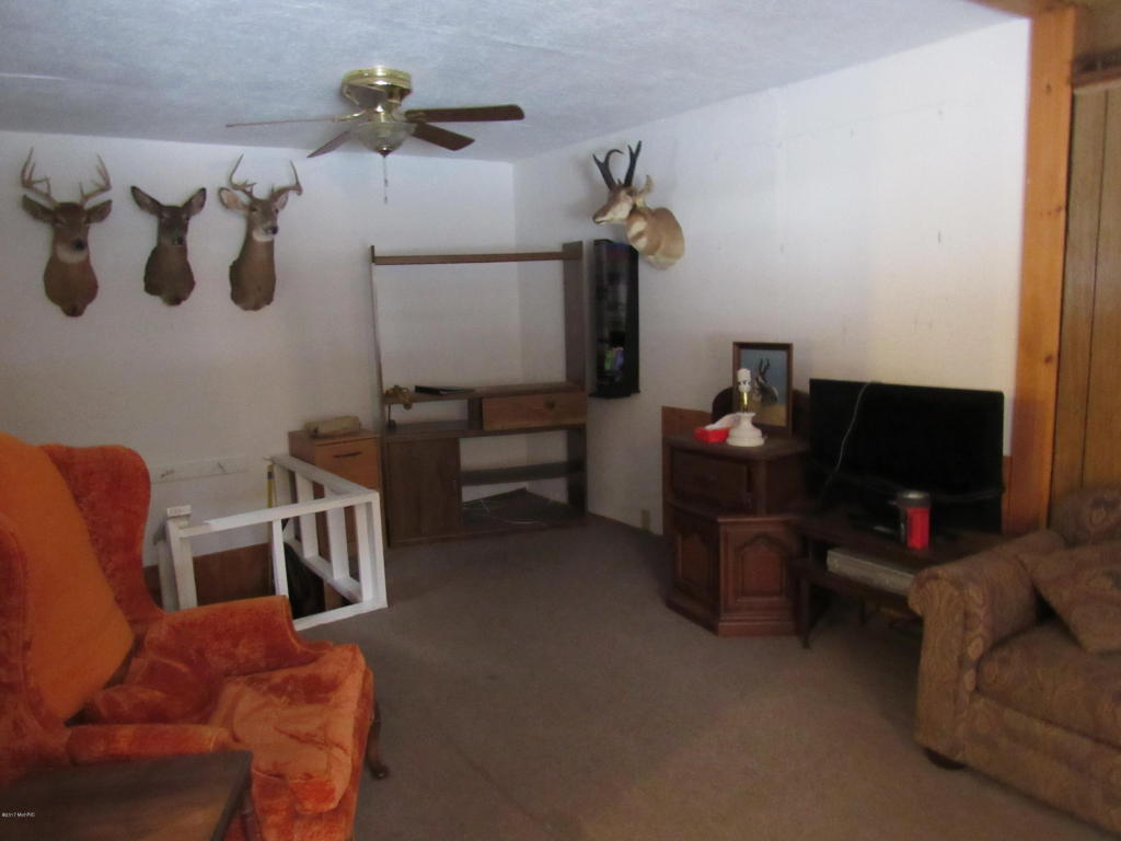 9444 E 56th St, Newaygo, MI 49337 photo 21
