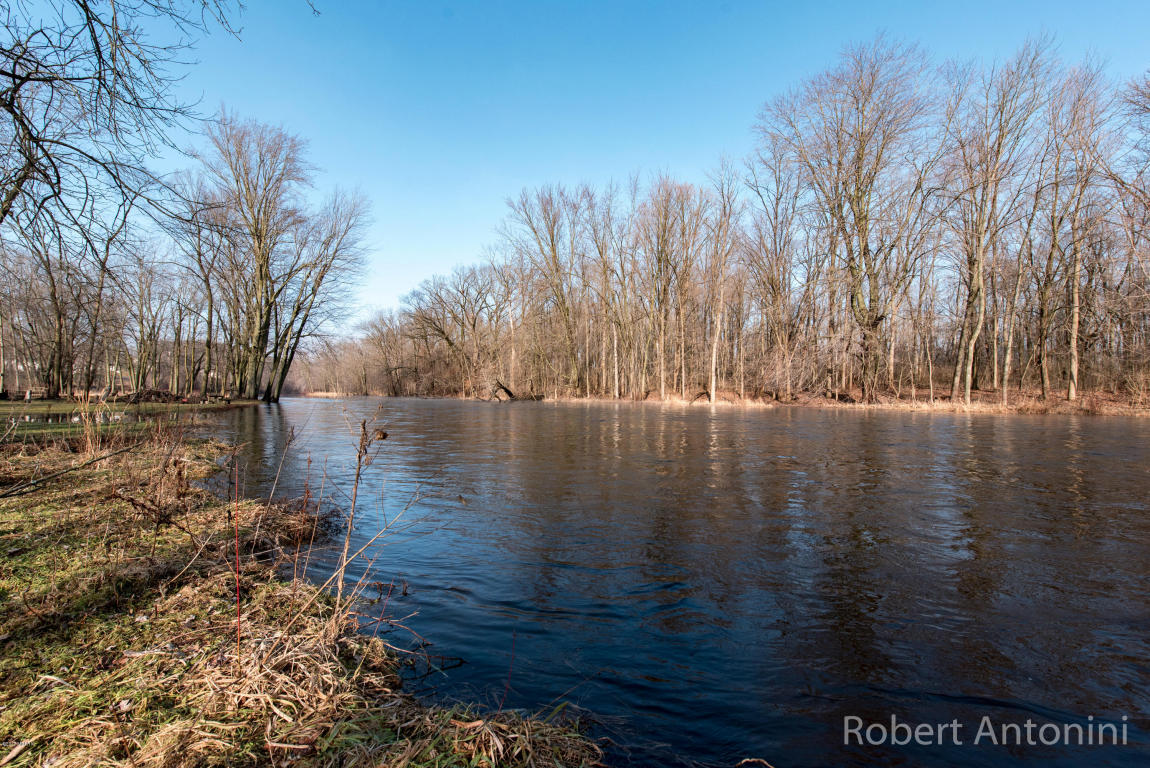 850 Water St, Belding, MI 48809 photo 3