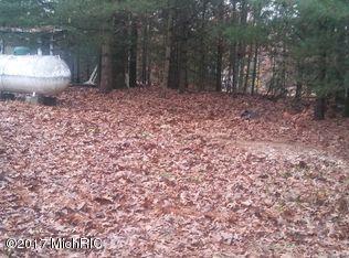 5025 E 36th St, Newaygo, MI 49337 photo 2