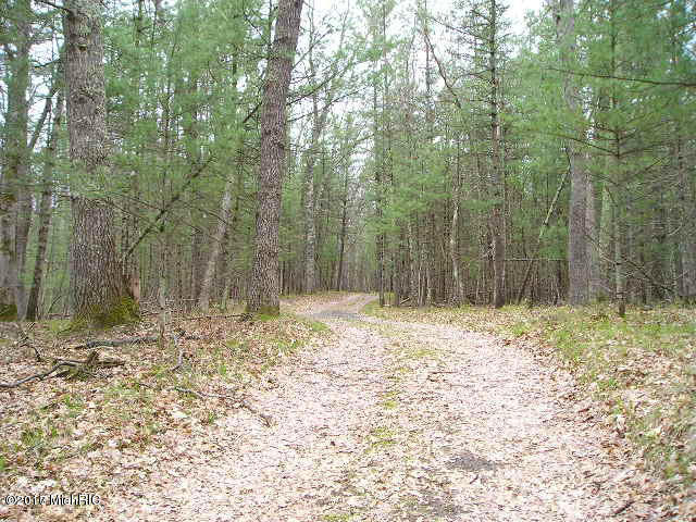 10940 S James Rd, Baldwin, MI 49304 photo 27
