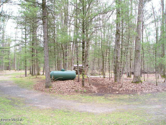 10940 S James Rd, Baldwin, MI 49304 photo 26