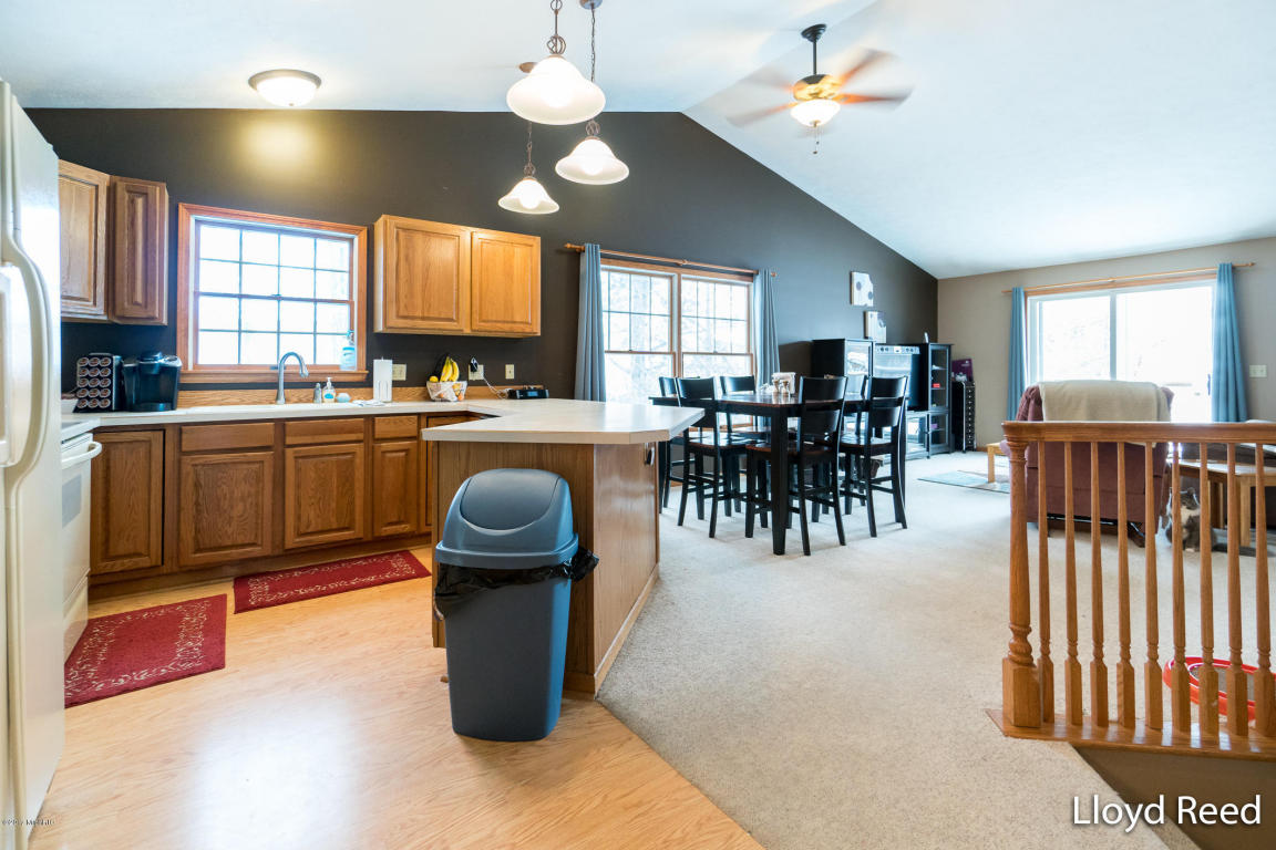 301 Bricker St, Belding, MI 48809 photo 9