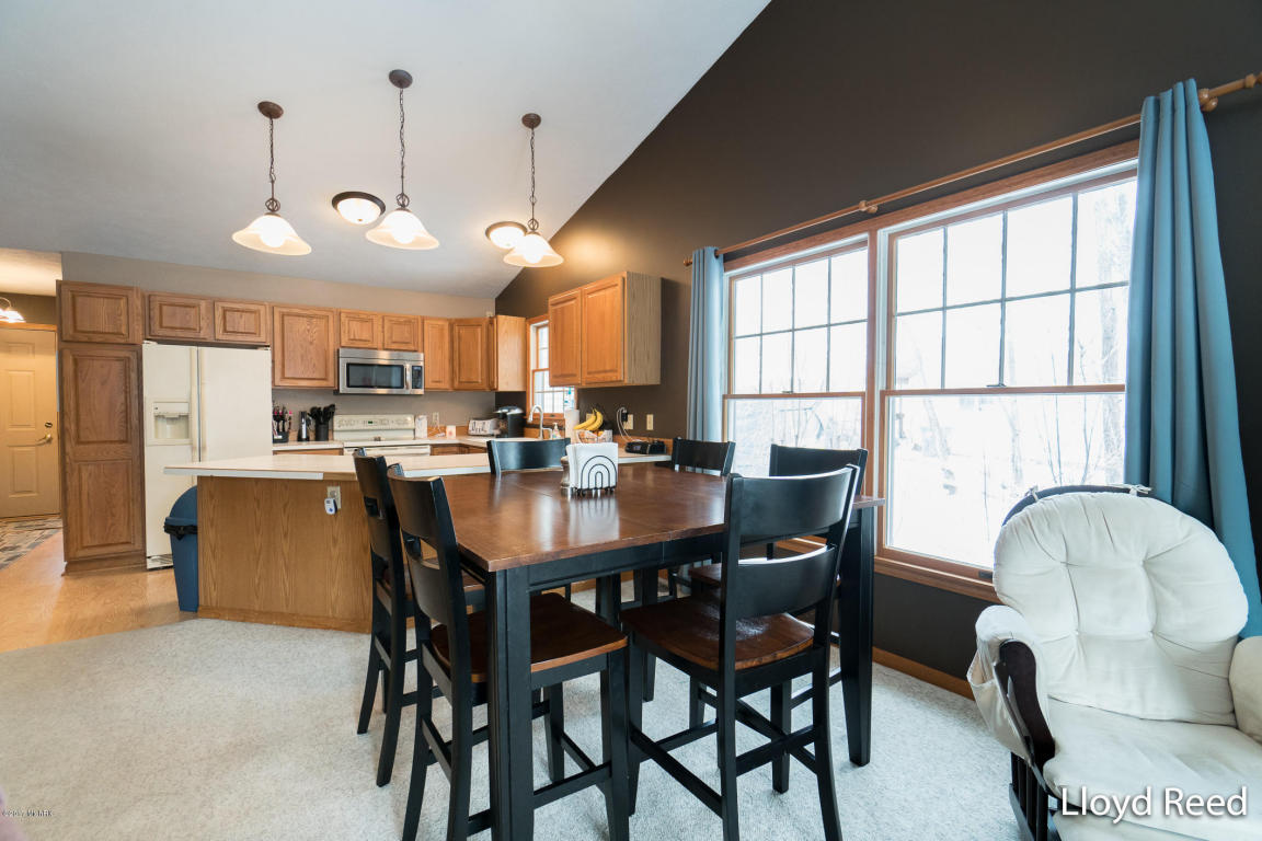 301 Bricker St, Belding, MI 48809 photo 8