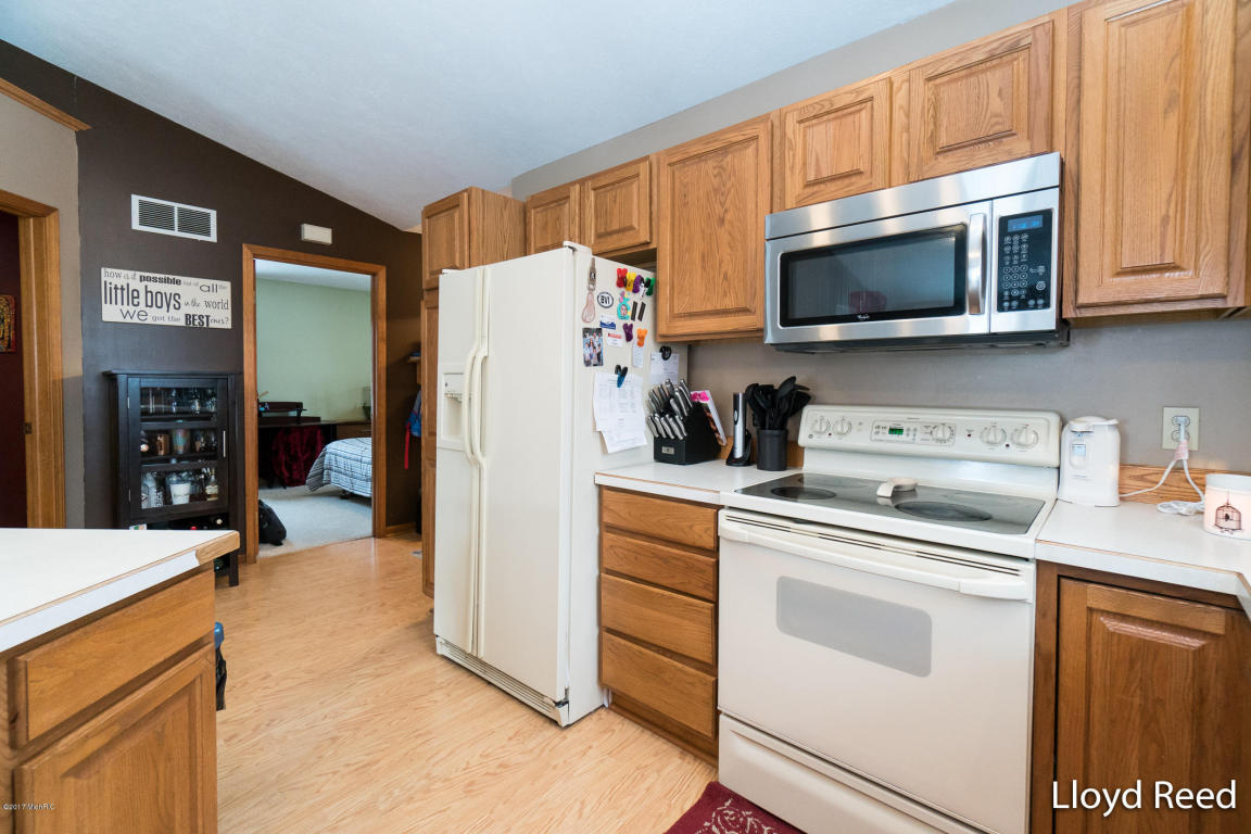 301 Bricker St, Belding, MI 48809 photo 5