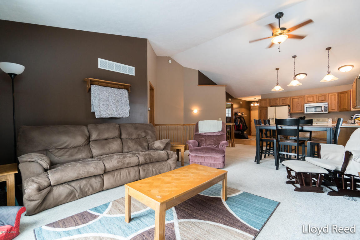 301 Bricker St, Belding, MI 48809 photo 11