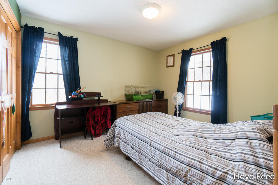 301 Bricker St, Belding, MI 48809 photo 16