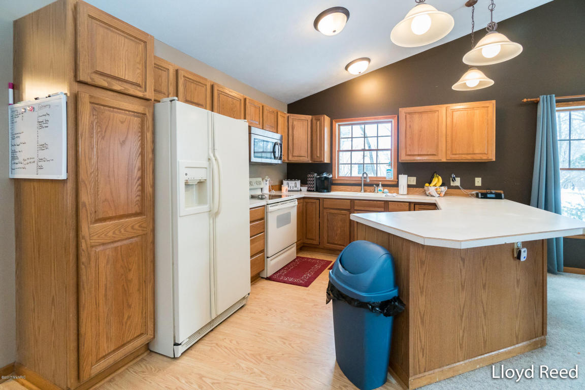 301 Bricker St, Belding, MI 48809 photo 4