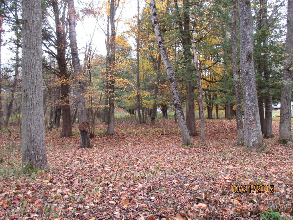 1122 Meadowbrook, White Cloud, MI 49349 photo 35