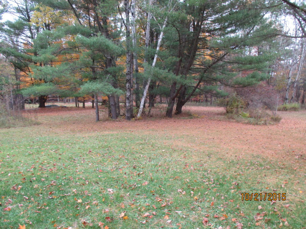 1122 Meadowbrook, White Cloud, MI 49349 photo 29