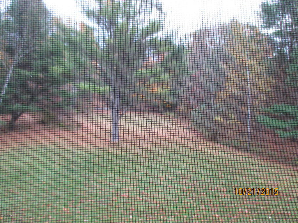 1122 Meadowbrook, White Cloud, MI 49349 photo 41
