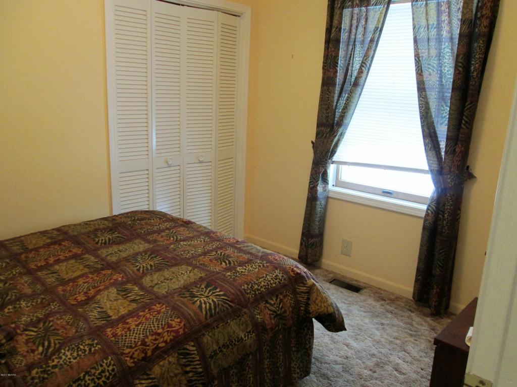 4711 W Channel Dr, Stanton, MI 48888 photo 12