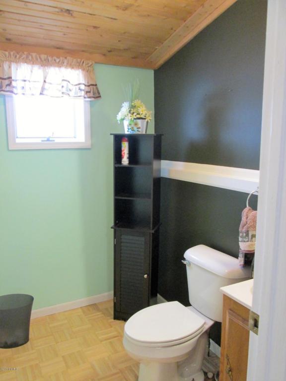 4711 W Channel Dr, Stanton, MI 48888 photo 15