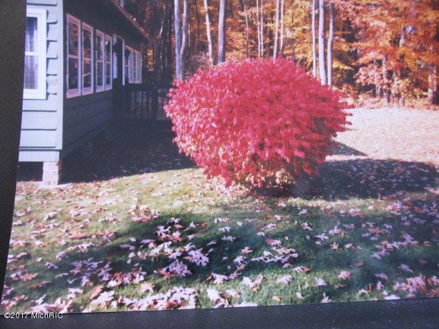 21107 Hampton Rd, Three Rivers, MI 49093 photo 42