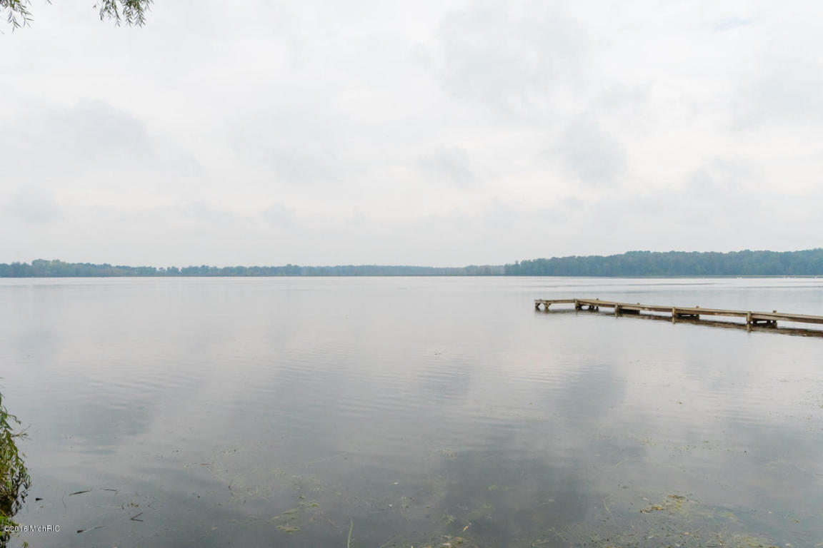 23444 E Shore Ln, Mendon, MI 49072 photo 24