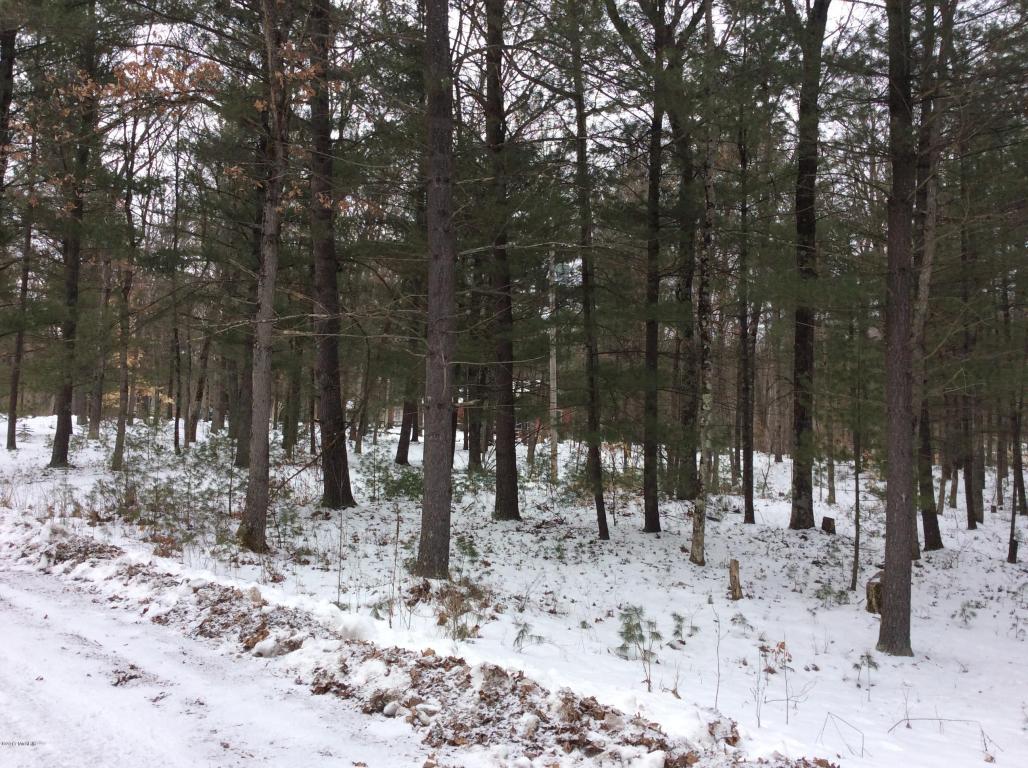 5101 E Baseline Rd, White Cloud, MI 49349 photo 20