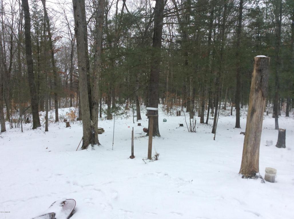 5101 E Baseline Rd, White Cloud, MI 49349 photo 14