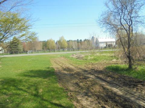 175 Belding Rd NE, Orleans, MI 48865 photo 10