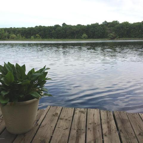 23679 River Run Rd, Mendon, MI 49072 photo 37