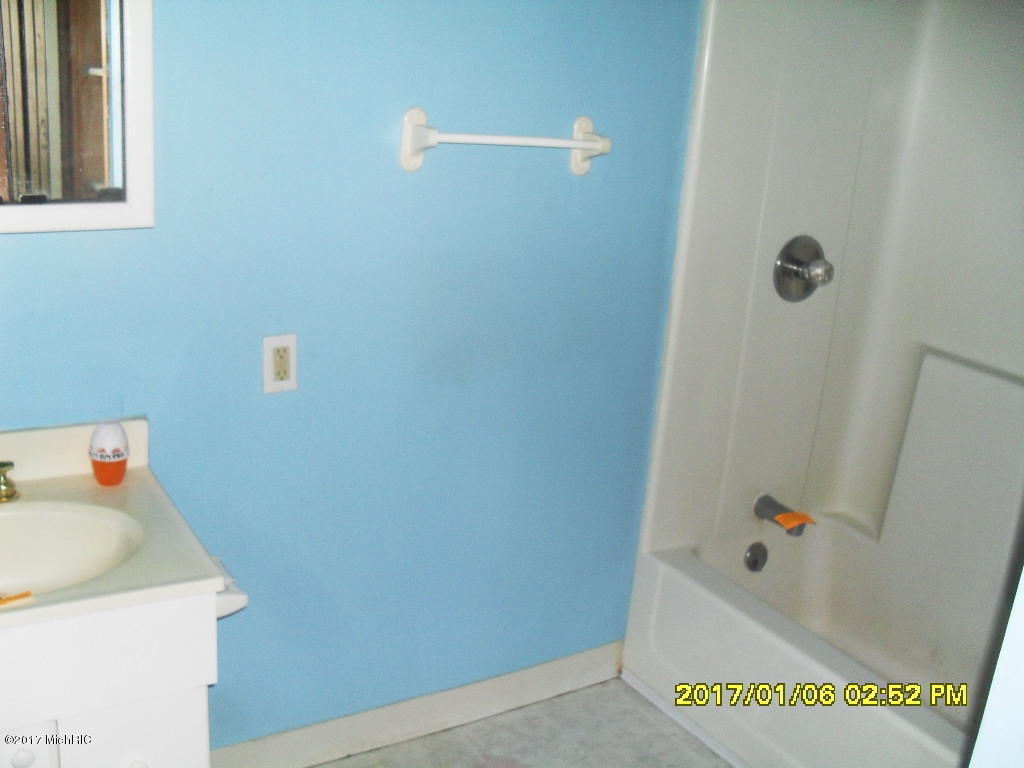 301 Main St, Buchanan, MI 49107 photo 5
