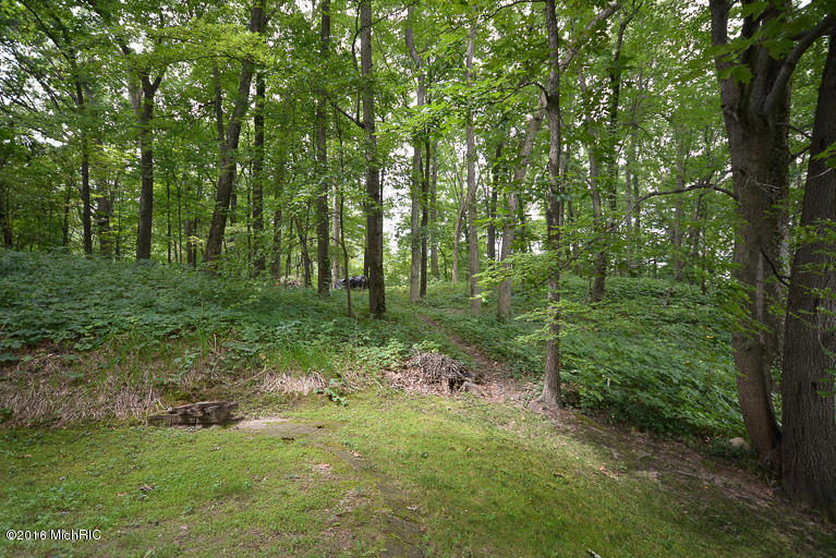26 Pine Rd, Plainwell, MI 49080 photo 26