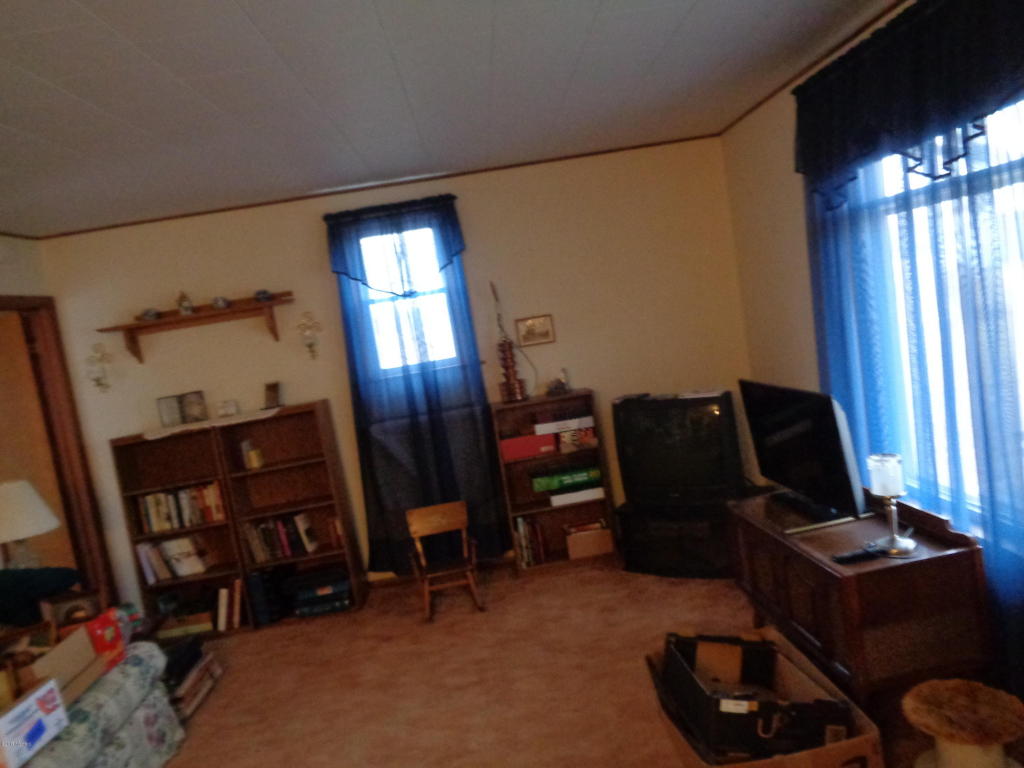 107 Carpenter St, Waldron, MI 49288 photo 3