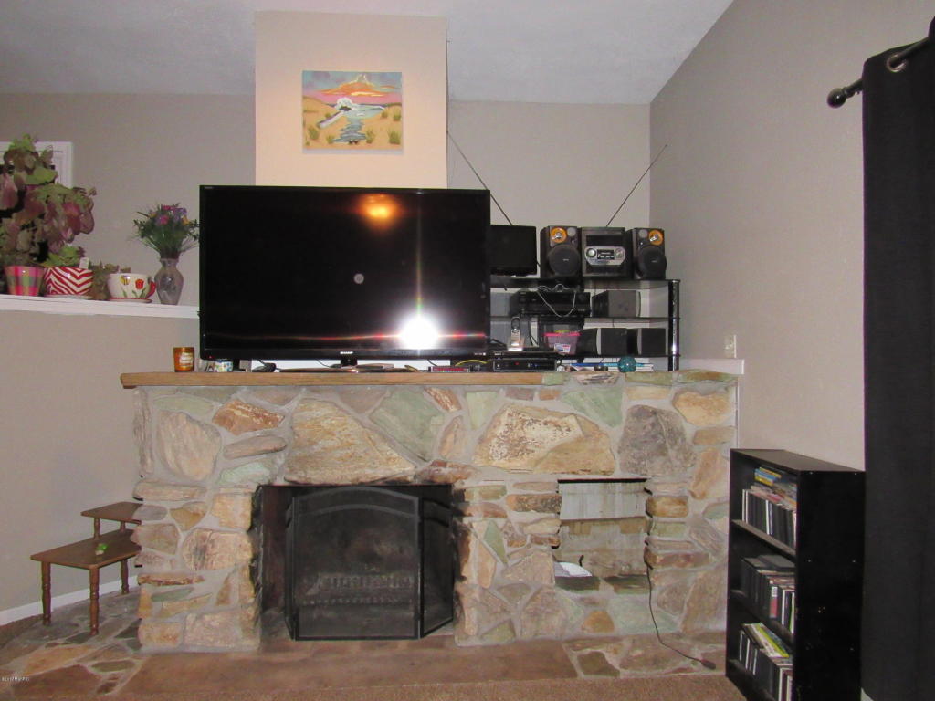 411 E River St, Whitehall, MI 49461 photo 4