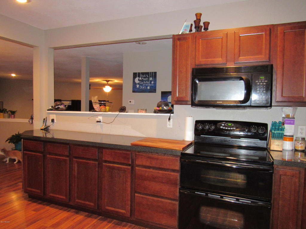 411 E River St, Whitehall, MI 49461 photo 7
