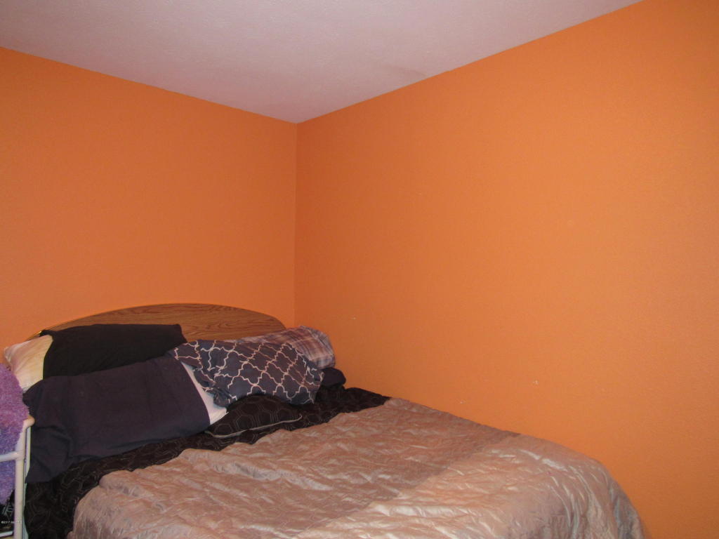 411 E River St, Whitehall, MI 49461 photo 17