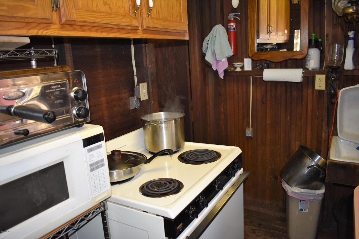 3353 W 68th St, Baldwin, MI 49304 photo 28