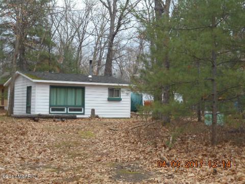 11802 S Red Cedar Ave, Baldwin, MI 49304 photo 1