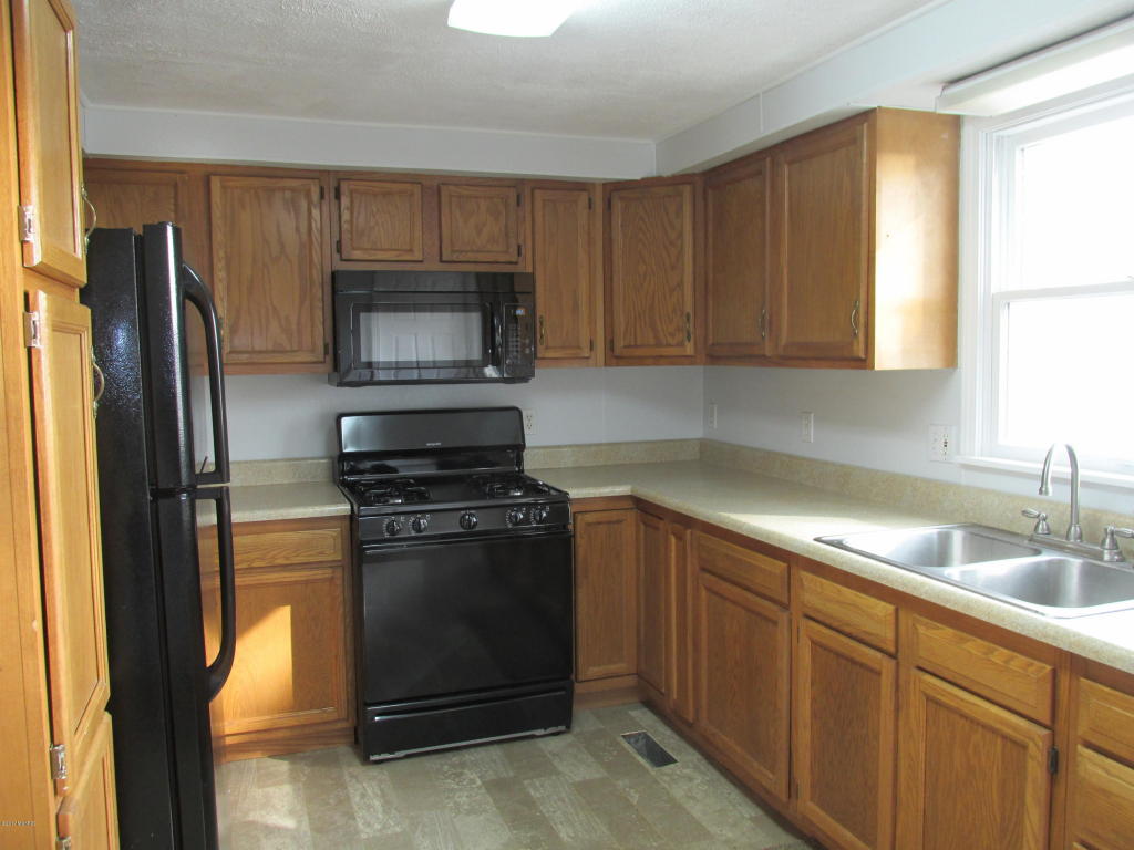206 S S Hl, Stanton, MI 48888 photo 4