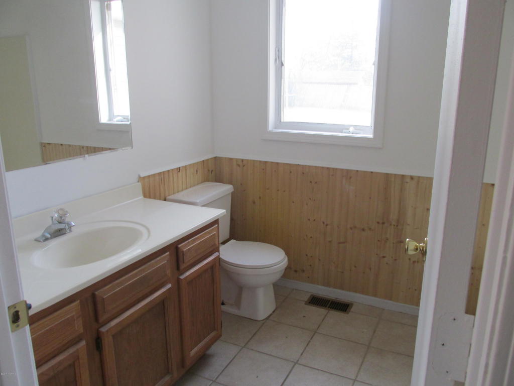 206 S S Hl, Stanton, MI 48888 photo 10