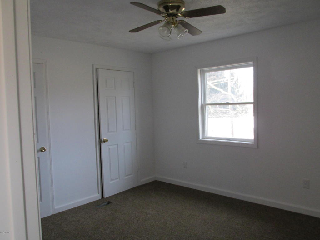 206 S S Hl, Stanton, MI 48888 photo 12