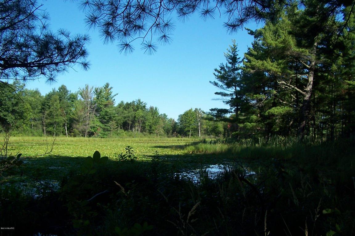 3567 Arthur Rd, Remus, MI 49340 photo 17