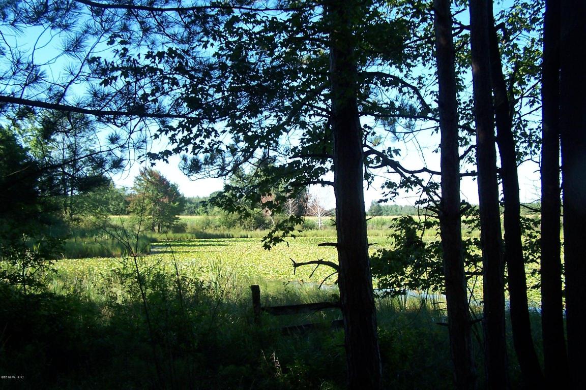 3567 Arthur Rd, Remus, MI 49340 photo 9