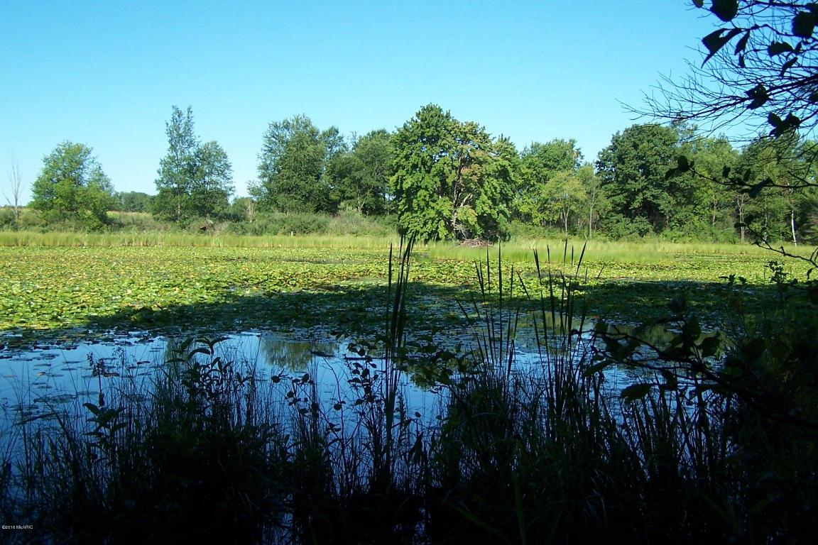 3567 Arthur Rd, Remus, MI 49340 photo 3
