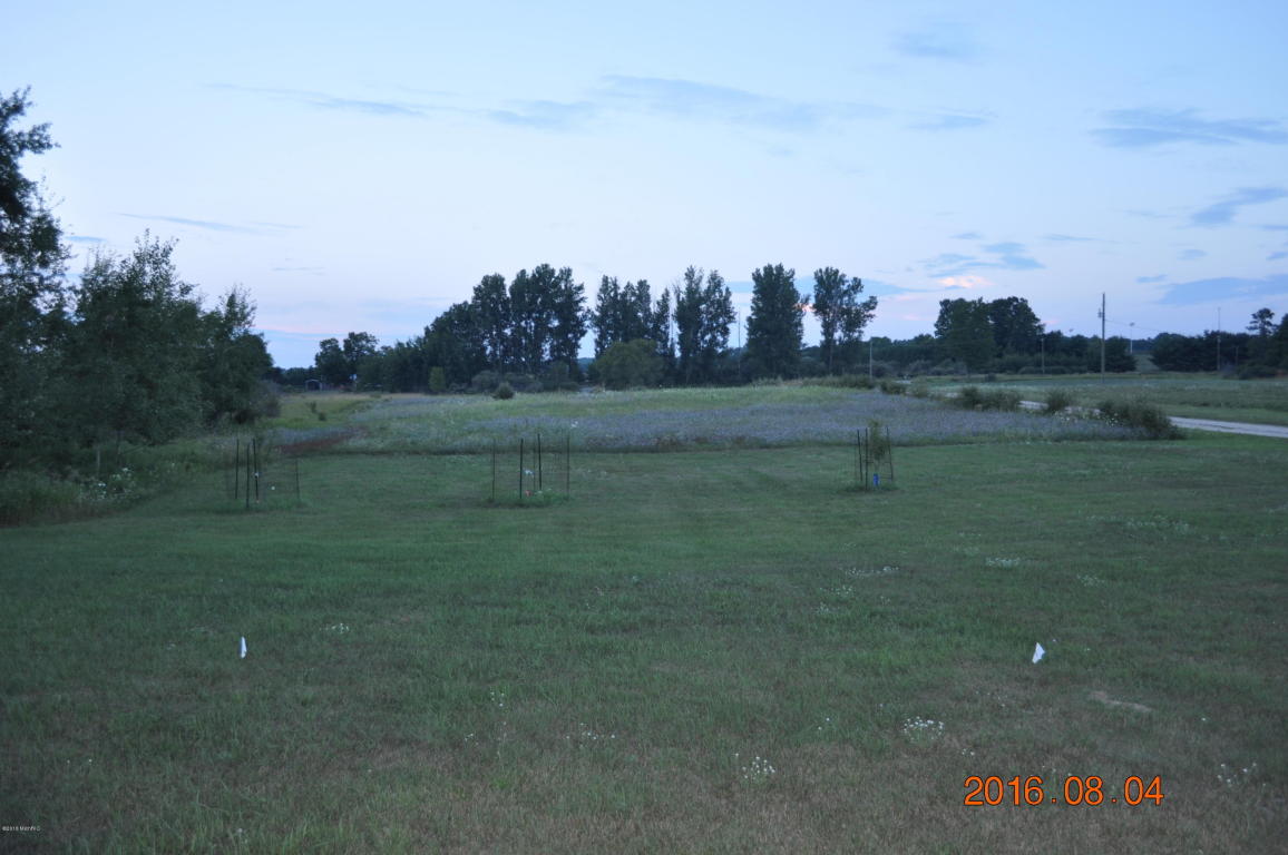 3567 Arthur Rd, Remus, MI 49340 photo 8