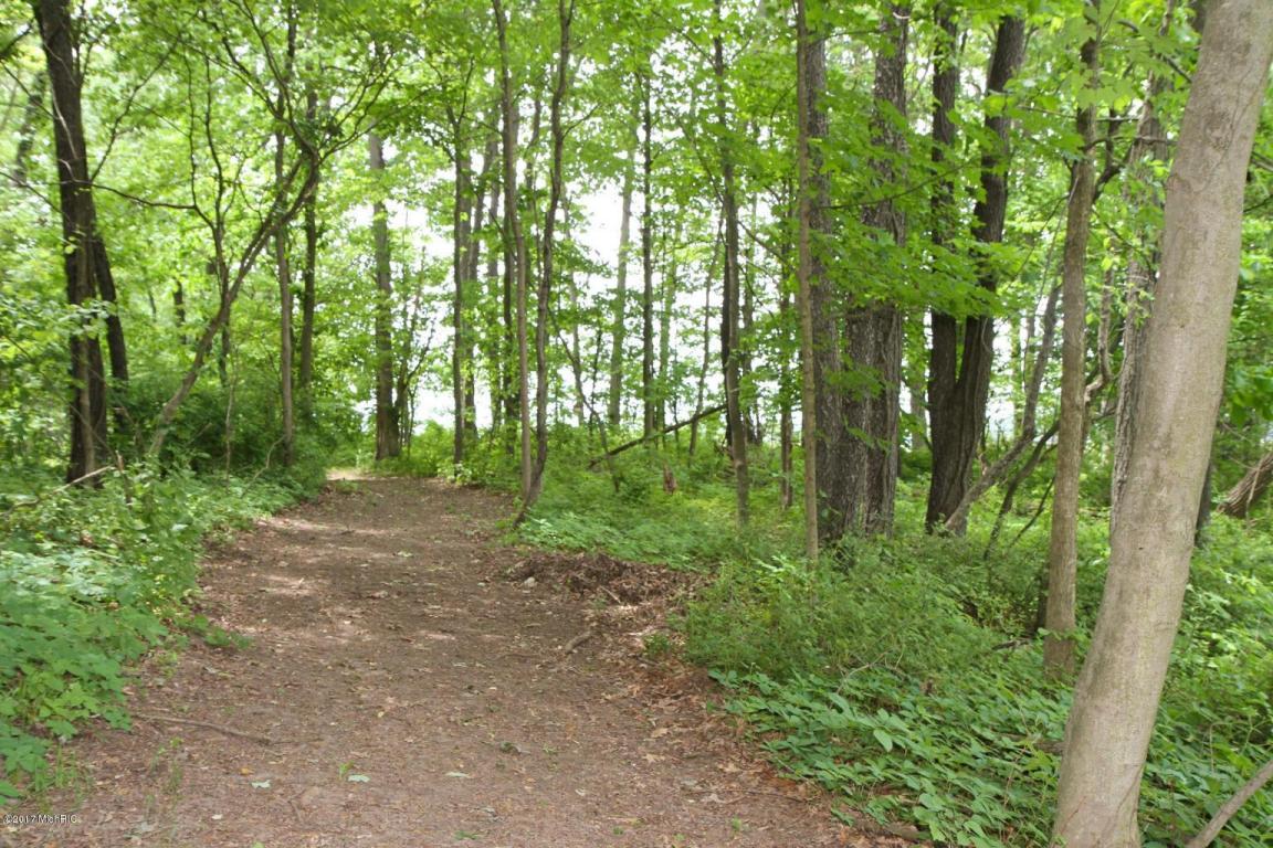 17841 T Dr S, Tekonsha, MI 49092 photo 39